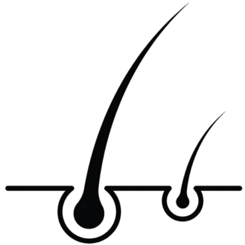 Root to Tip Icon